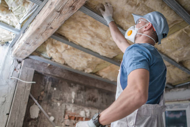 Best Insulation Maintenance and Repair in Onsted, MI